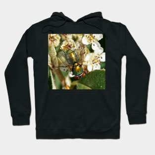 flyxl Hoodie